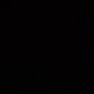 Meet your Posher, Shelby